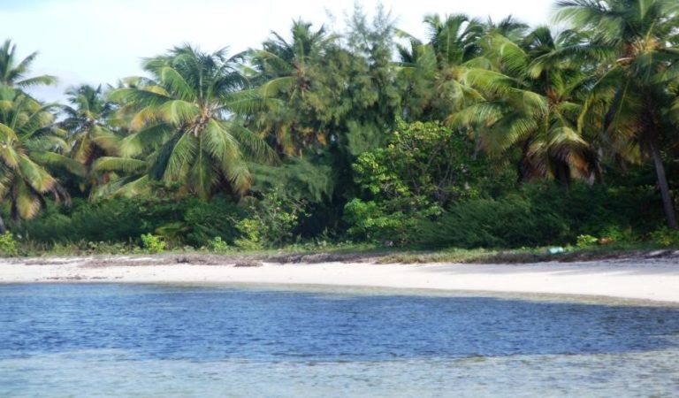 Bavaro, terreno en venta en la misma playa a muy pocos metros del centro de Punta Cana