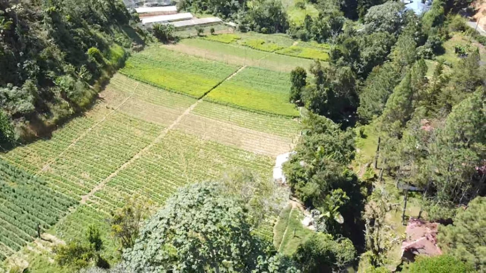 Tenemos a la venta hermosa finca agrícola con 431 tareas en el Arroyazo (Reserva de Ebano Verde), Constanza, República Dominicana