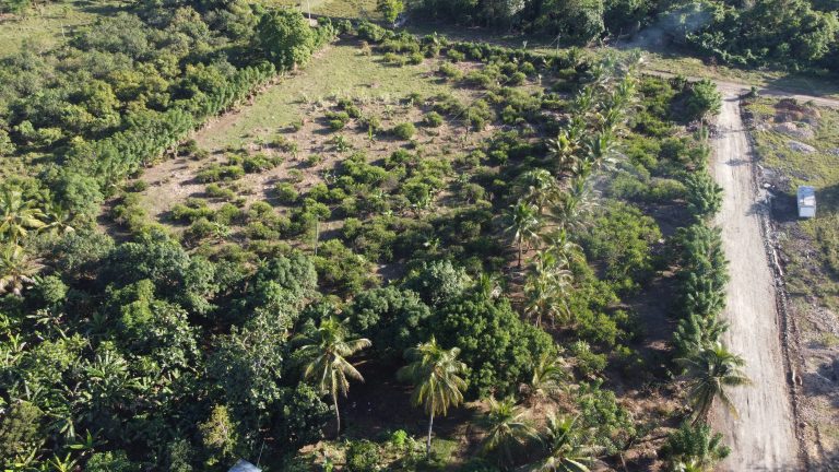 Terreno industrial en venta en KM 22 de la Autopista Duarte – 30,500 m² con acceso directo